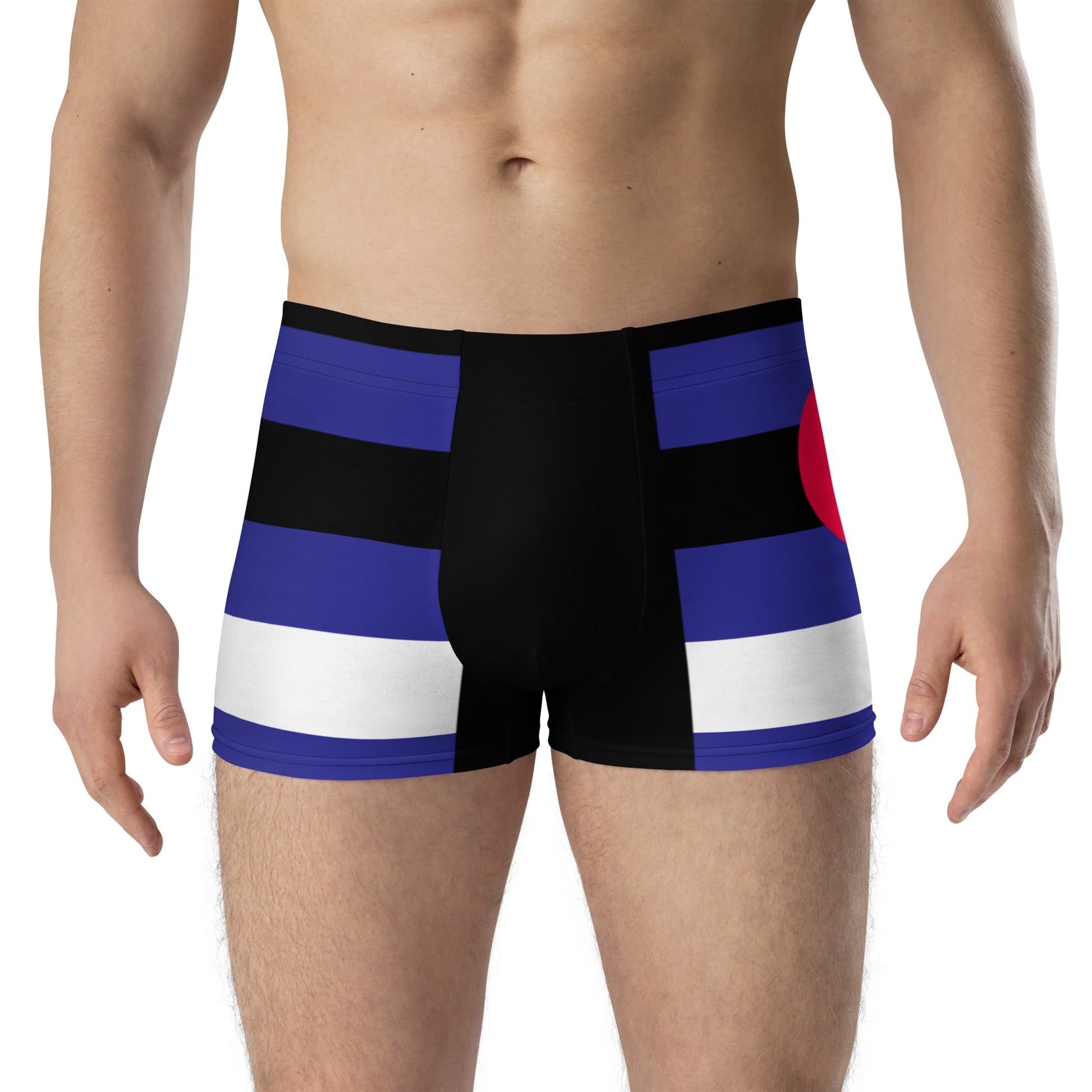 Boxer Briefs with Leather Pride Flag