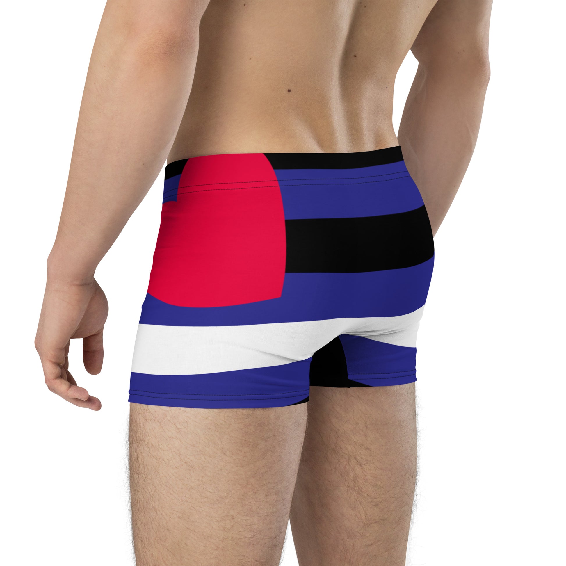 Boxer Briefs with Leather Pride Flag